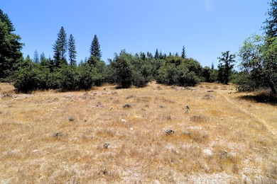 1402 Meredith Ln, Rail Road Flat, CA 95245 - photo 2