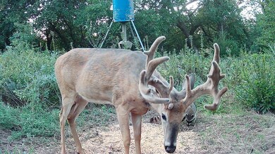 0000 Avenue P, Ellsworth, KS 67439 - photo 7