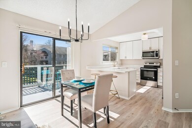 11725 Summerchase Cir unit 1725B, Reston, VA 20194 - photo 3