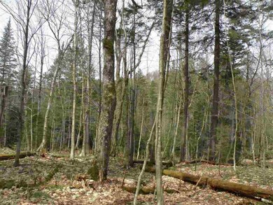 0 Bog Rd unit 4644596, Belvidere Center, VT 05442 - photo 5