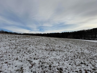 0 Richardsville Rd, Brookville, PA 15825 - photo 3