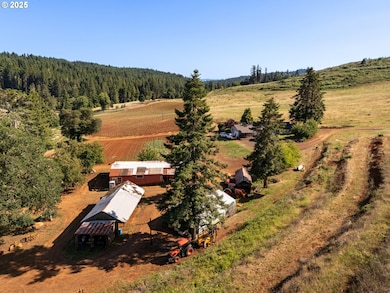 1066 Red Hill Rd, Oakland, OR 97462 - photo 6