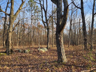 21766 Highway 157, Menlo, GA 30731 - photo 5