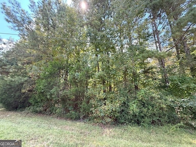 0 Fortson Dr, Elberton, GA 30635 - photo 5