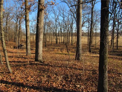 TBD LOT 1 Highway 43, Siloam Springs, AR 72761 - photo 7