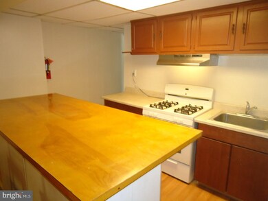 207 Dekalb St unit 3RD FL, Norristown, PA 19401 - photo 6