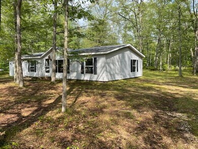 11662 N Bingham Ave, Bitely, MI 49309 - photo 5