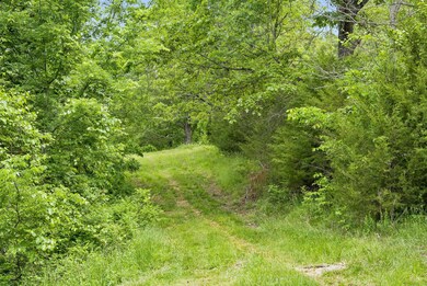 30-web-or-mls-20220517-DSC04326