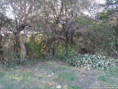 11222 Blue Waters, Helotes, TX 78023 - photo 4