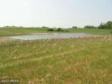 0 Pond Neck Rd unit 1002608988, Earleville, MD 21919 - photo 6