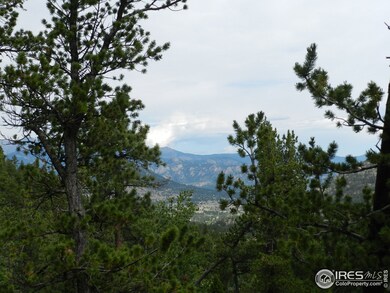 Peek through the trees