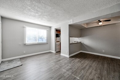 3141 E Cypress St unit 1, Phoenix, AZ 85008 - photo 5