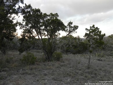 12331 Cross Cut, Helotes, TX 78023 - photo 4