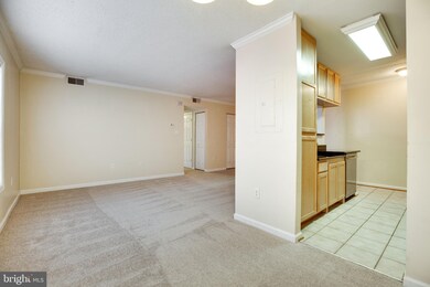 15508 Horseshoe Ln unit 508, Woodbridge, VA 22191 - photo 6