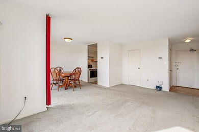 River Towers unit 910, Alexandria, VA 22307 - photo 6