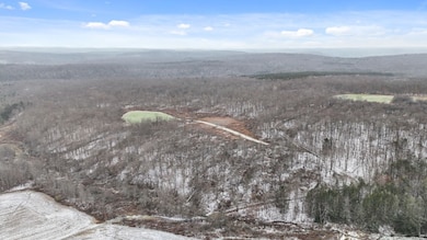 00 Lamb Rd, Newark Valley, NY 13811 - photo 5