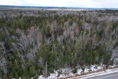 Lot 51 Route 1, Pleasant Point, ME 04667 - photo 3