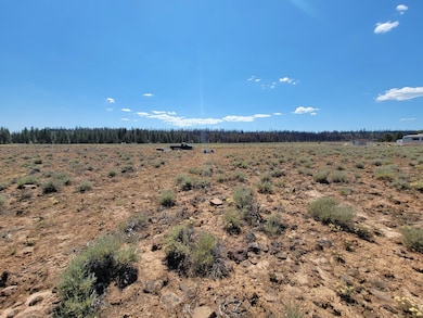 Mt Trout Ln, Sprague River, OR 97624 - photo 3