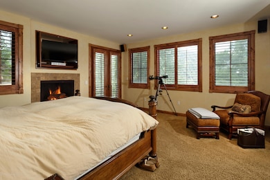 749 Mountain Laurel Dr, Aspen, CO 81611 - photo 6