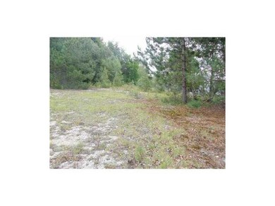 Lot 43-A Medway Rd, Millinocket, ME 04462 - photo 4