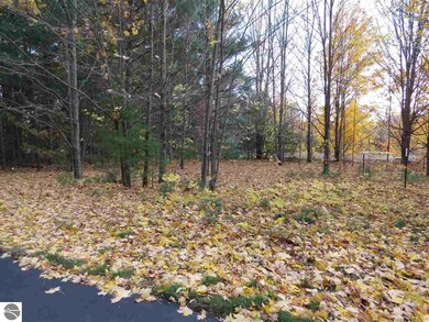 Lot 95 Eden St unit 95, Kingsley, MI 49649 - photo 4