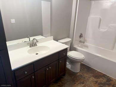 3117 Zuni Way, Anoka, MN 55303 - photo 6