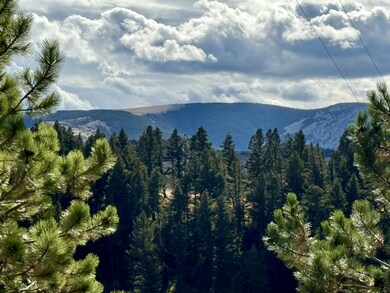 3567 Limestone Canyon Rd, Raynesford, MT 59469 - photo 3