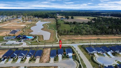 20906 Carob Tree Ln, Tomball, TX 77377 - photo 4