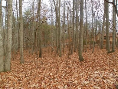 4221 Pinto Ln, Gastonia, NC 28052 - photo 7