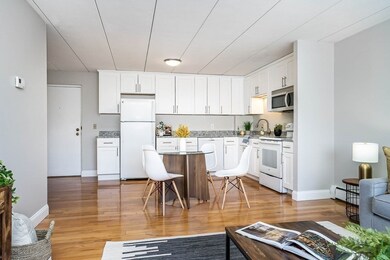 25 Homer Ave unit 31, Cambridge, MA 02138 - photo 6