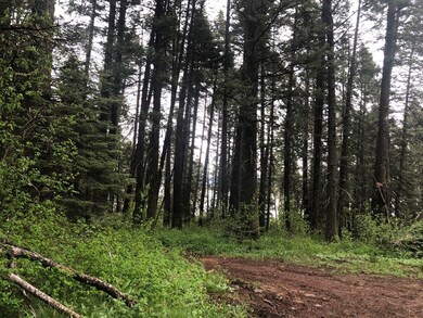 4 Roberts Loop unit 22, Cascade, ID 83611 - photo 3