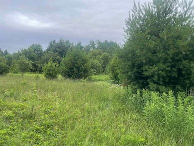 0 Behnke Rd, Texas, WI 54403 - photo 7