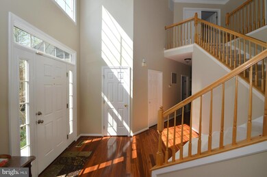 26142 Murrey Dr, Chantilly, VA 20152 - photo 6