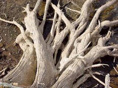 ON Popko Cr E unit Lot 7, Mercer, WI 54547 - photo 6