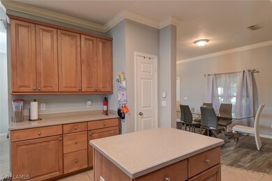 11026 River Trent Ct, Lehigh Acres, FL 33971 - photo 7