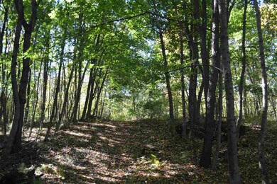 49 Fairview Dr unit 24-1, Pittsfield, NH 03263 - photo 6