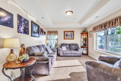 Living area featuring a tray ceiling and carpet