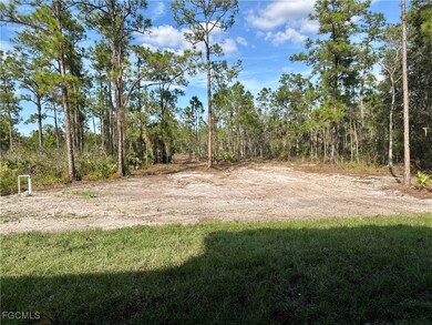 3461 43rd Ave NE, Naples, FL 34120 - photo 6