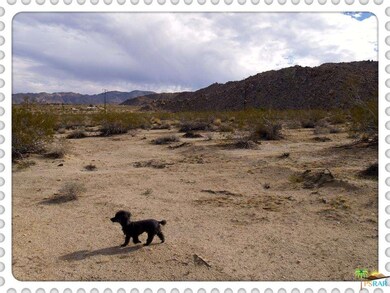 0 Que Pas Ln unit 17-196376PS, 29 Palms, CA 92277 - photo 4