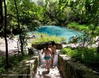 weeki wachee pix2