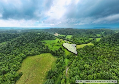 0 Opossum Paw Rd, Beechgrove, TN 37018 - photo 2