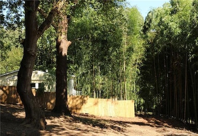 109 Forest St unit 2, Asheville, NC 28803 - photo 6