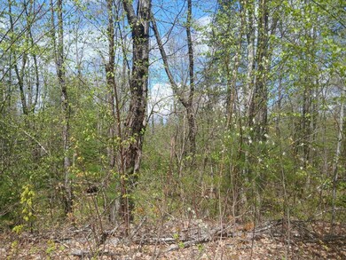 41 Federal Rd, Fryeburg, ME 04037 - photo 6