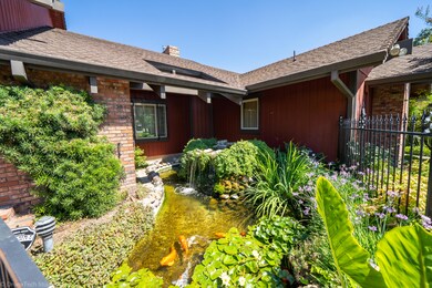 KOI POND