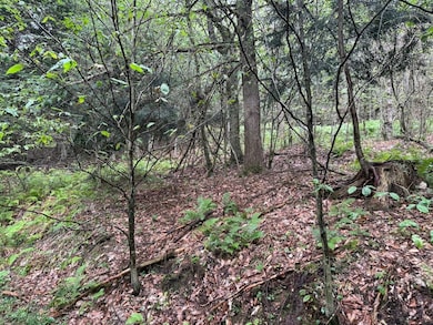 0 Alma Hill Rd unit LotWP001 24749380, Alma, NY 14895 - photo 4