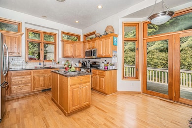 15172 Oakwood Dr, Big Rapids, MI 49307 - photo 5