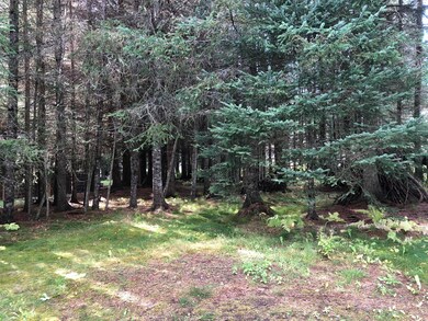Private Yard