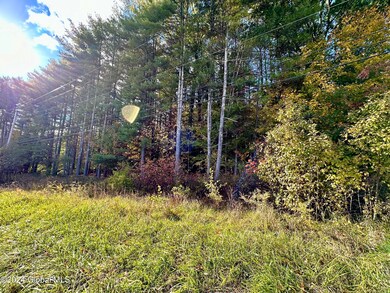 L 39.13 State Highway 9n, Corinth, NY 12822 - photo 3