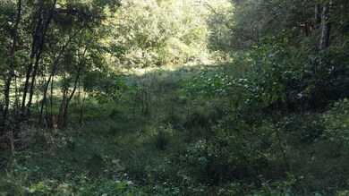 0000 Kidwell Ridge Rd, Morristown, TN 37814 - photo 4