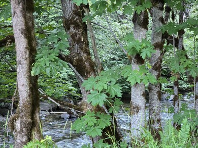 10777 Caves Hwy, Cave Junction, OR 97523 - photo 3